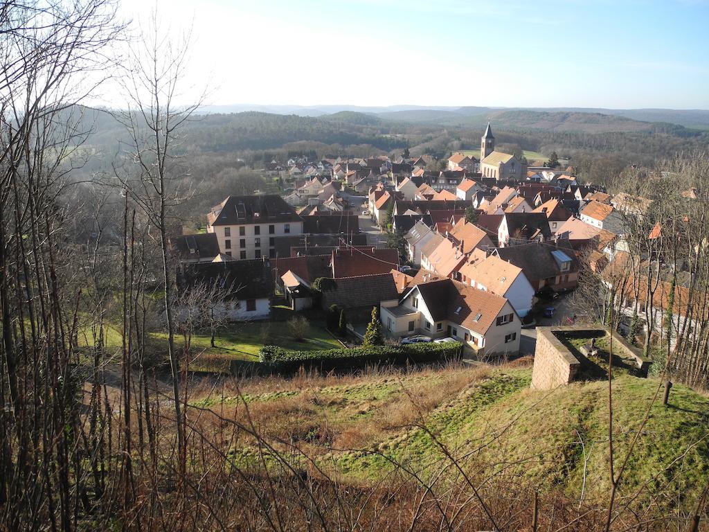 Au Pied Du Chateau Lichtenberg Номер фото